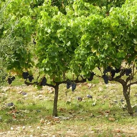 Domaine 669, 